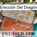 Erección Del Dragón 43